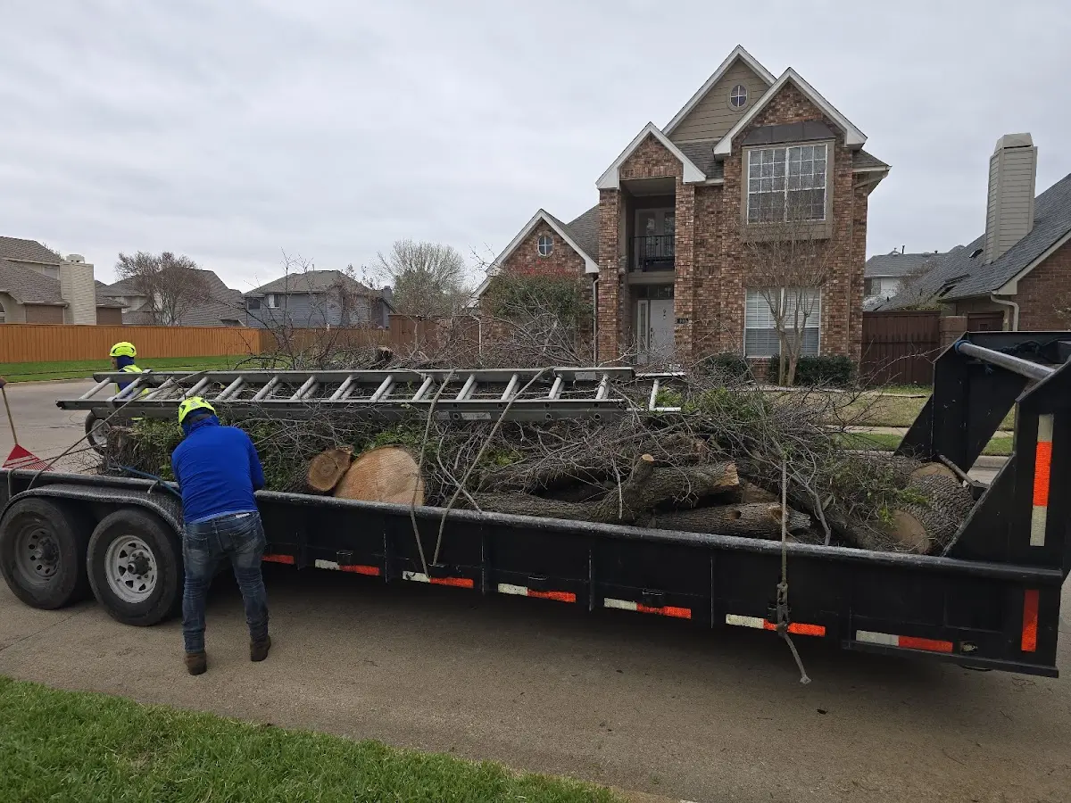 Expert Tree Pest Control with proper safety equipment in Penobscot